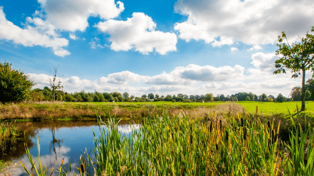 National Park De Groote Peel