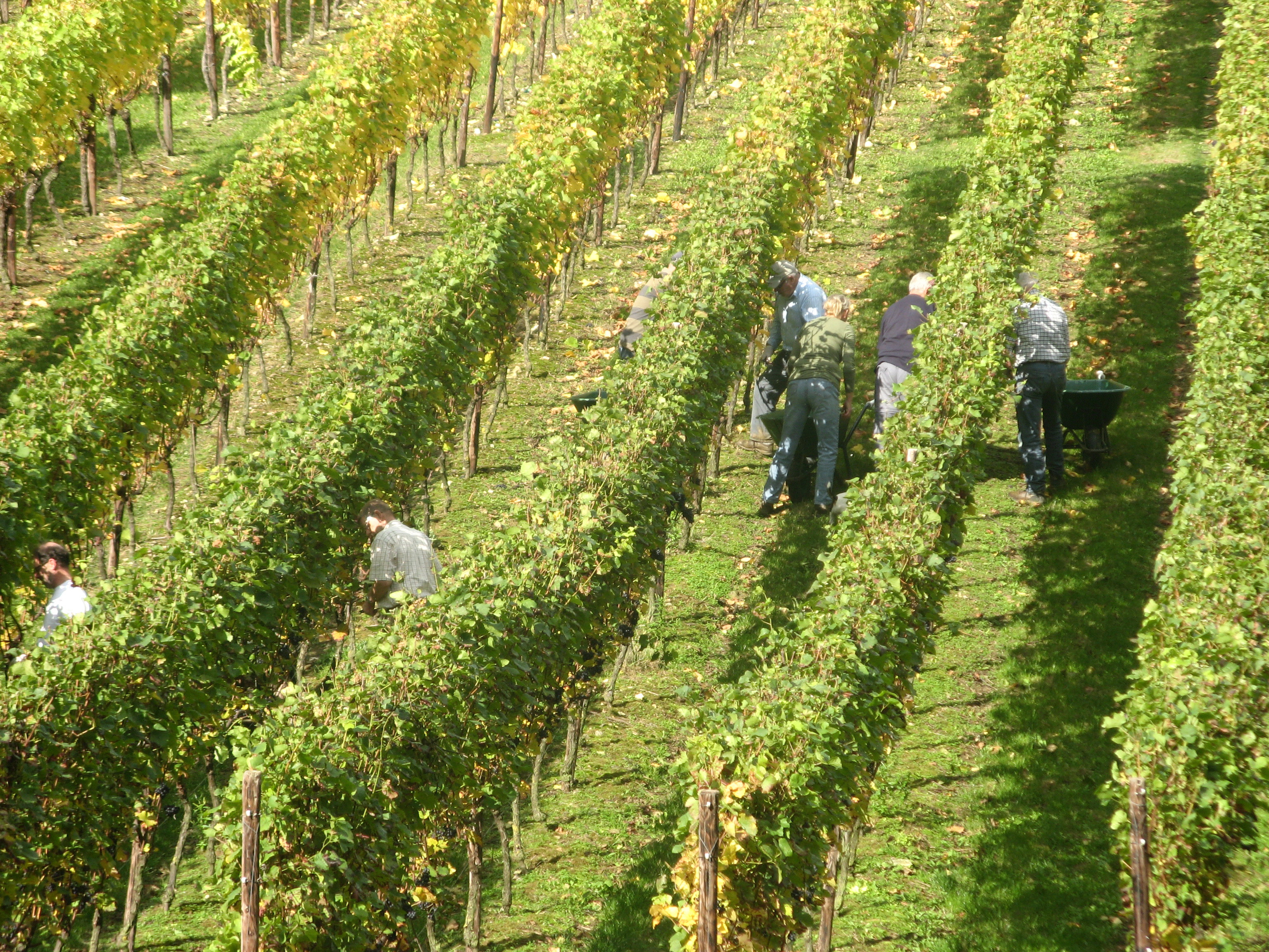 Weingut Fromberg