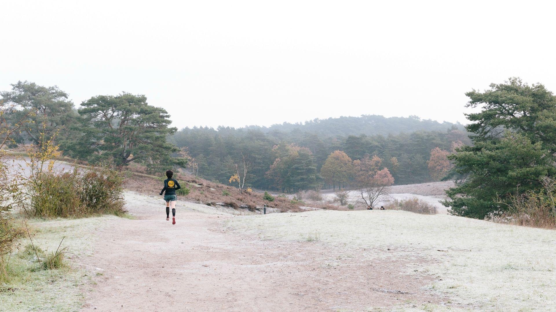 Trailrun Brunsummerheide