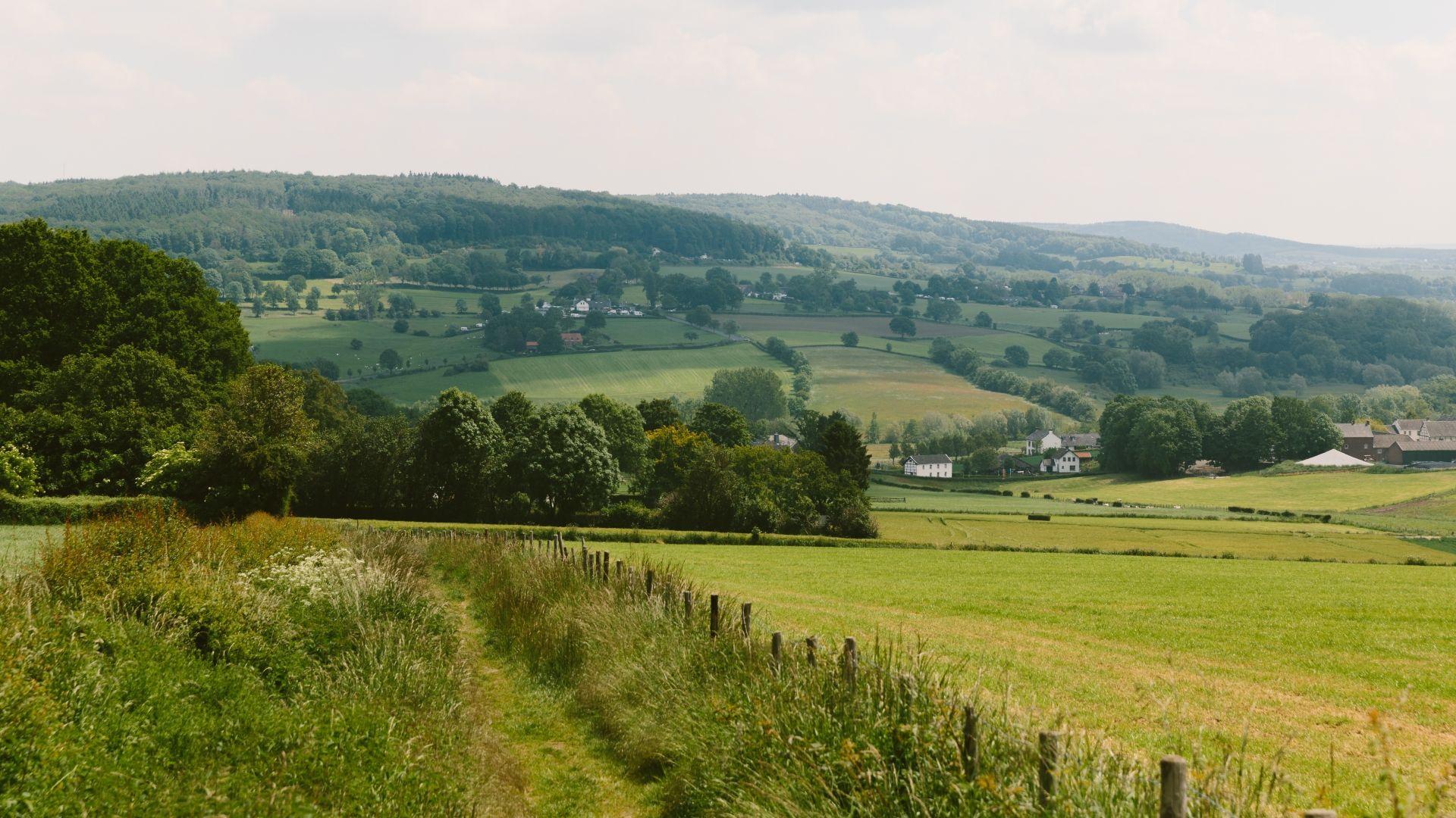 Uitzicht in Limburg