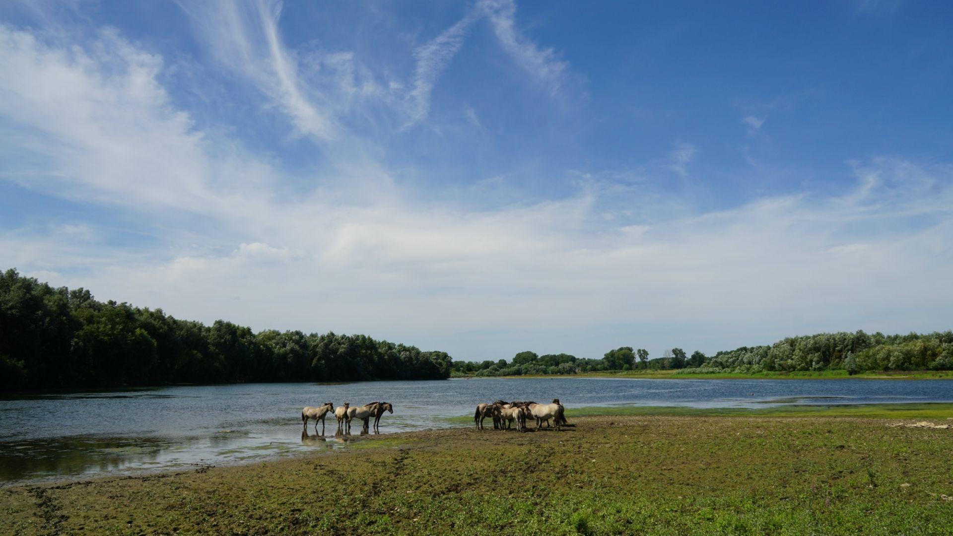 Fietsen in de natuur bij de Maasvallei