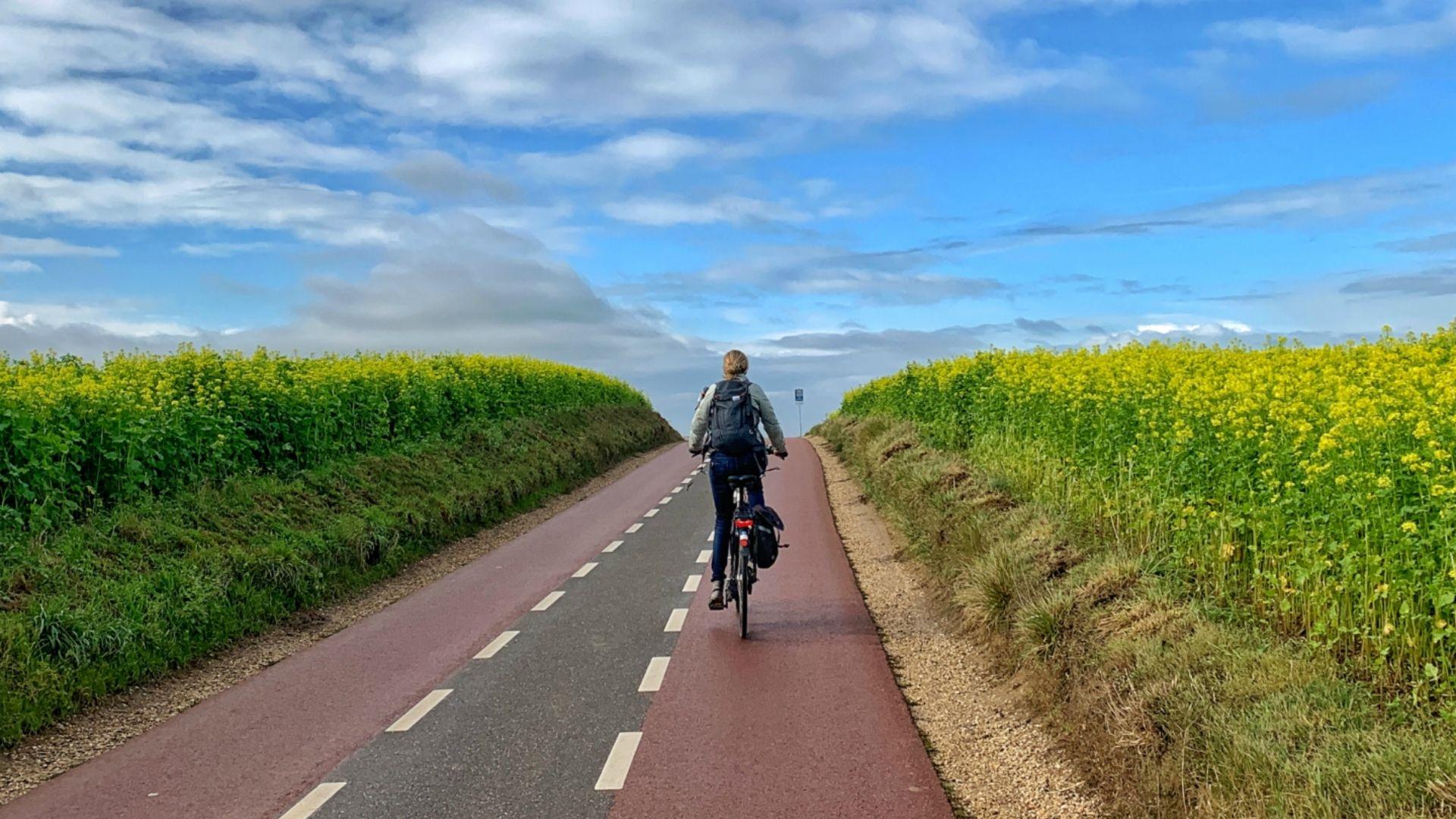 Vrouw fietsend 