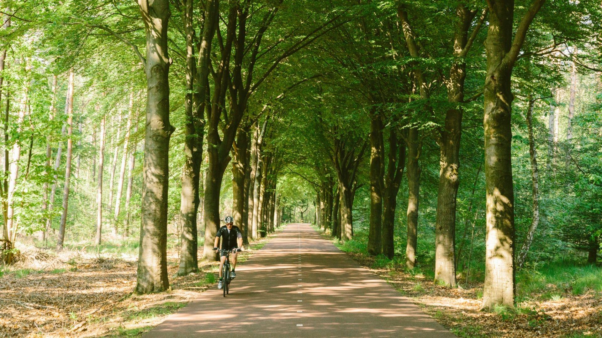 Nature in Meinweg Limburg