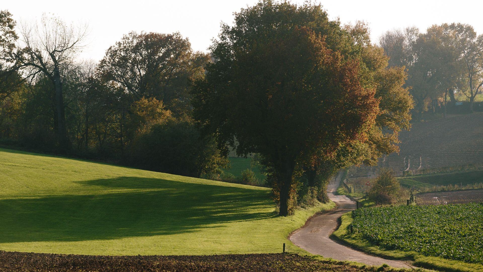 Pelgrimspad Limburg 