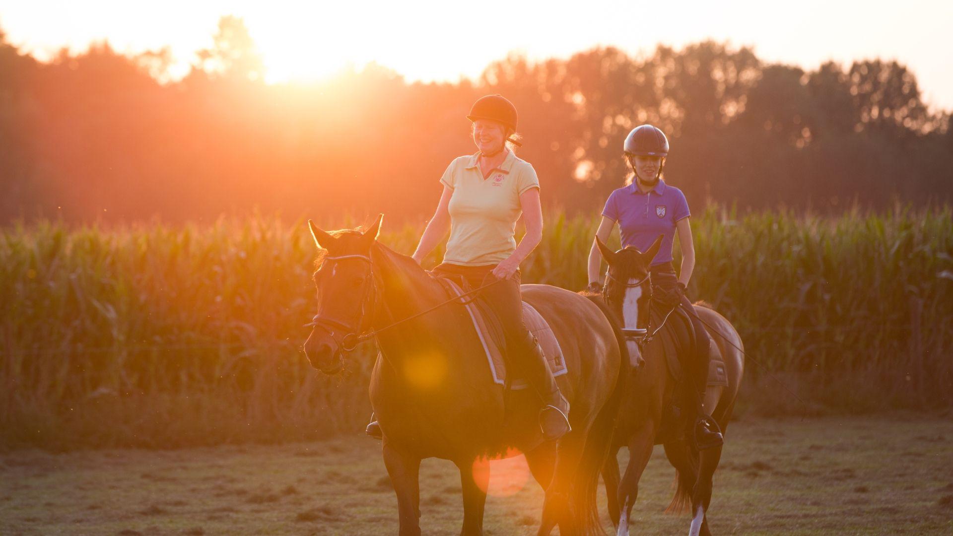 Equestrian routes Limburg