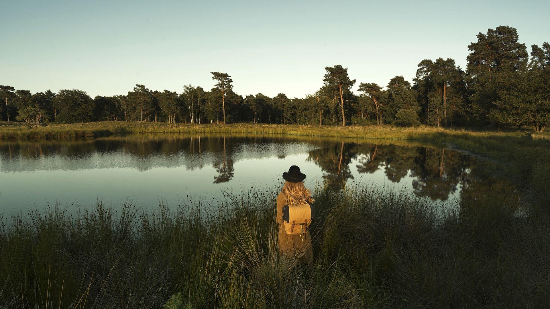 Een vrouw in Nationaal park de Maasduinen 