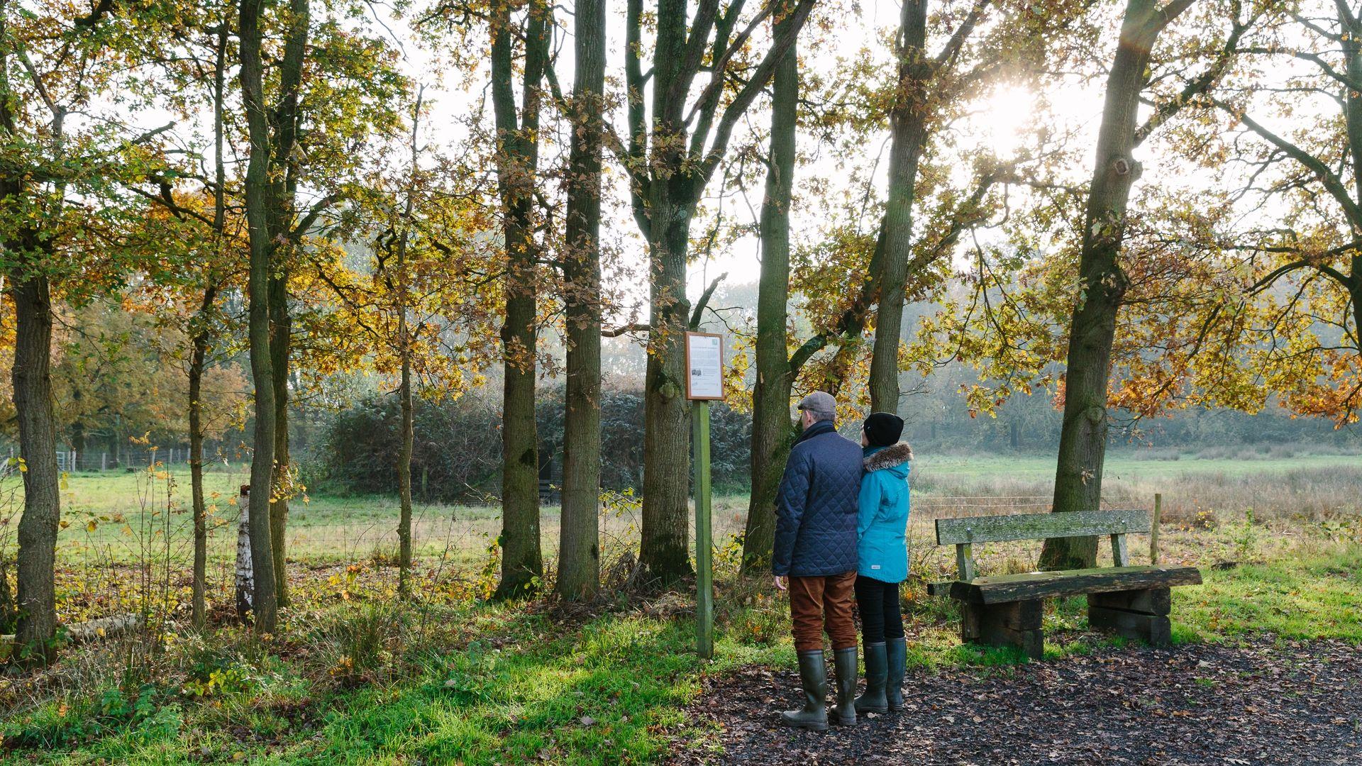 Wandelen in Limburg