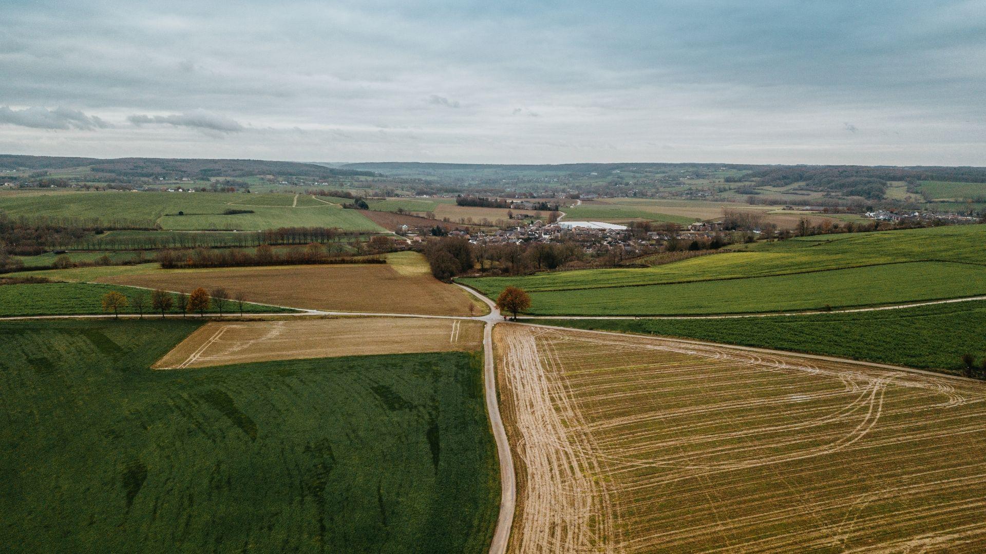 Zuid-Limburg het is de Mercks 