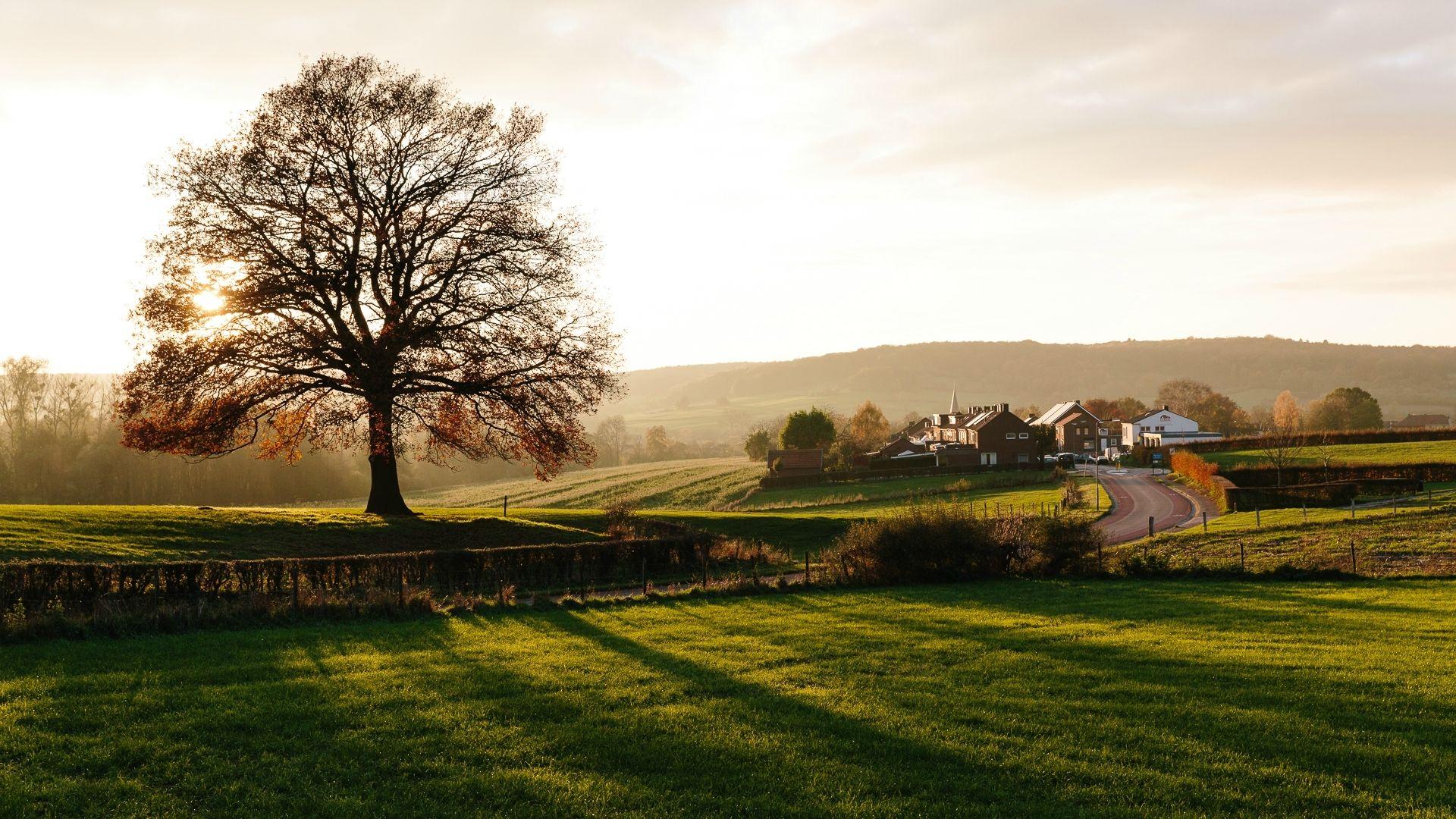 South of Limburg