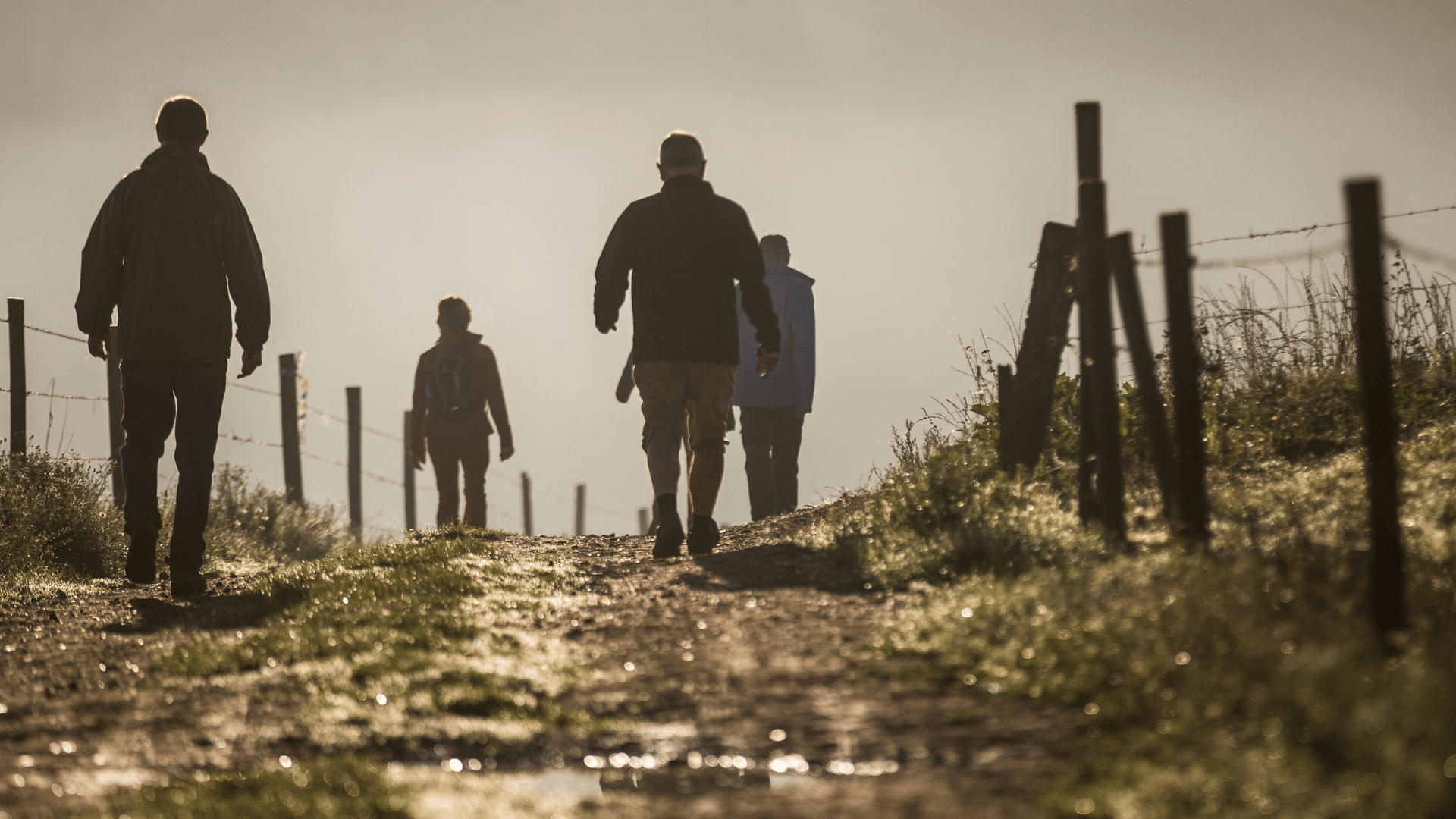 Wandelen in Limburg