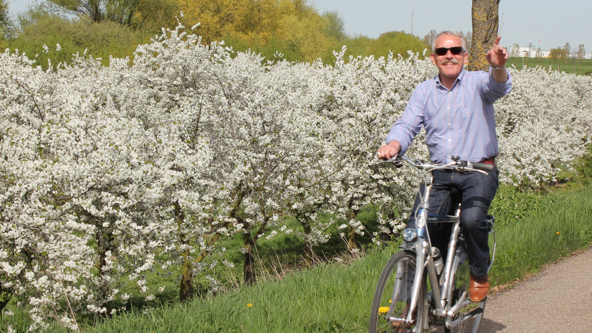 Fietser tussen bloesem 