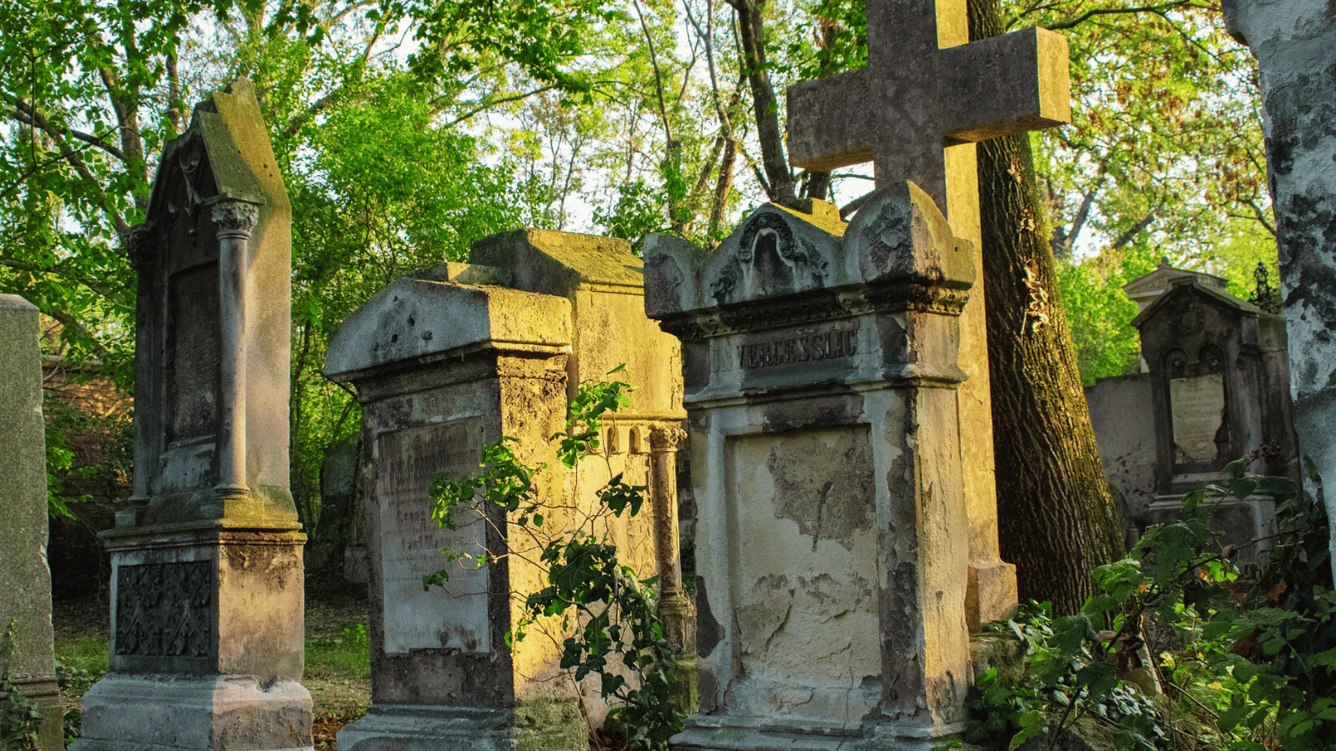 4 Special graveyards Limburg