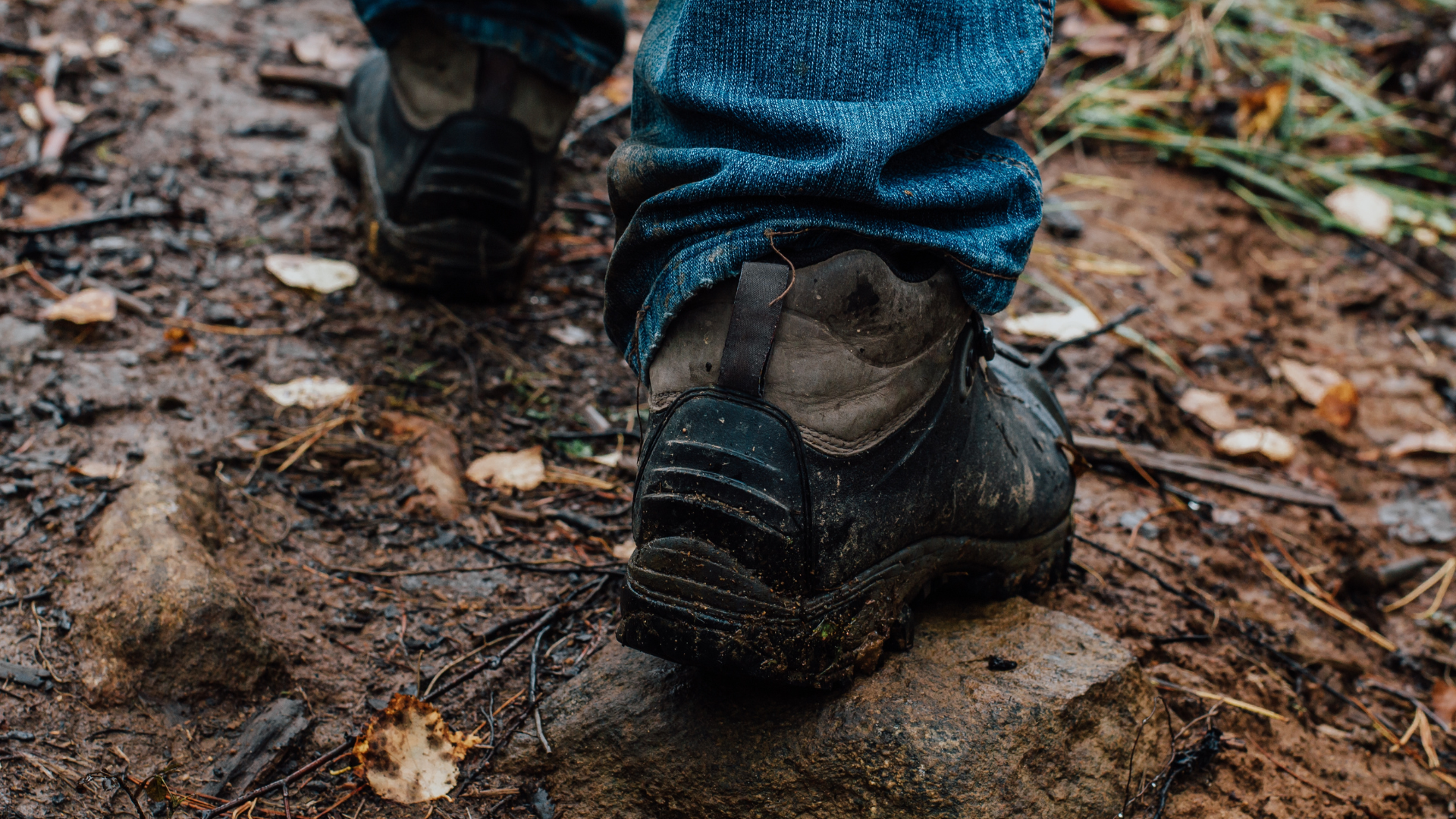 Hiking Limburg