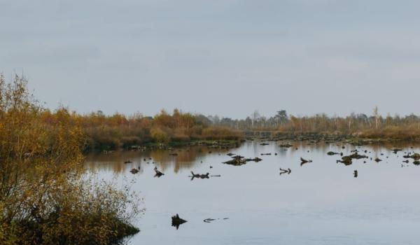 Vogels spotten in Nationaal Park de Groote Peel