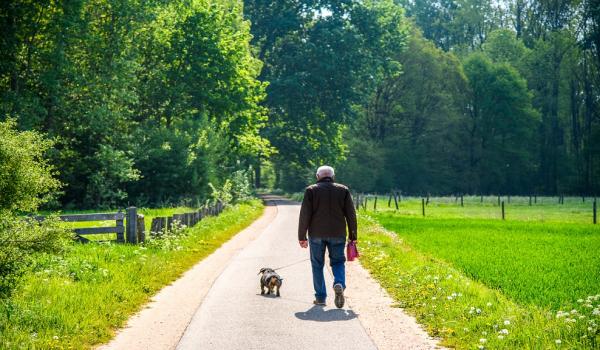 Wandern mit Hunden in Limburg