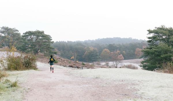 Trailrun Brunsummerheide