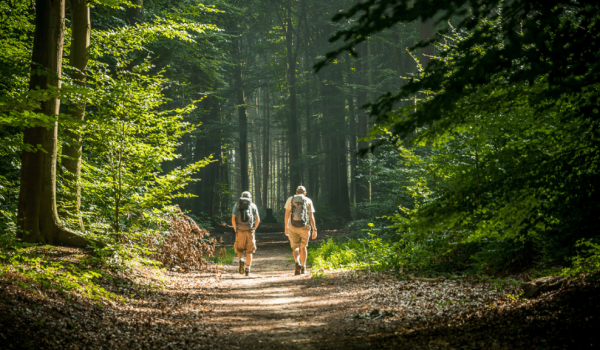 Wandelen in Limburg