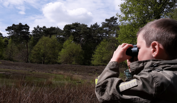 Wild spotten met een verrekijker in Limburg