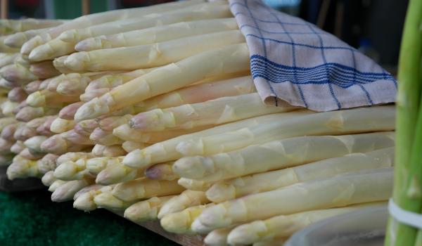 Asperges bij de Maasparel