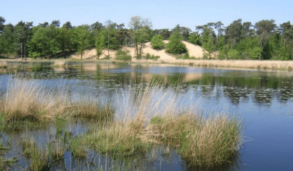 Ravenvennen Noord-LImburg