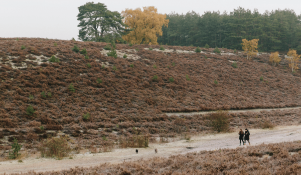 Twee wandelaars op de Brunsummerheide