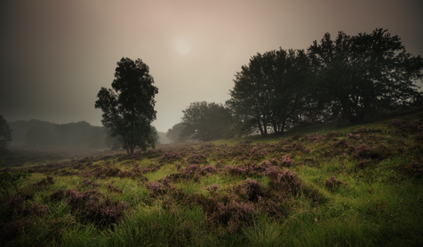 De Meinweg