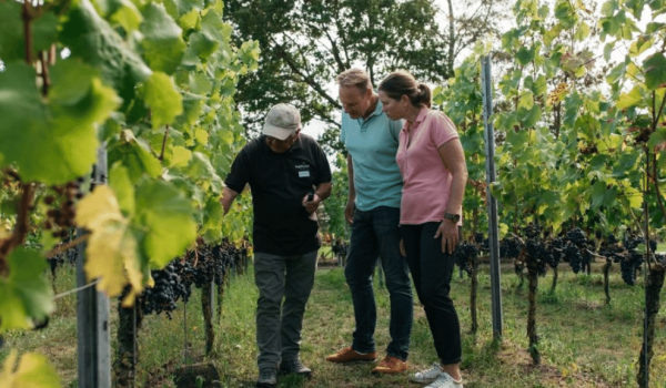 Couple in Vineyard