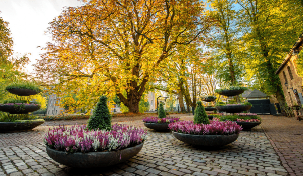 Kasteeltuinen Arcen in de herfst 