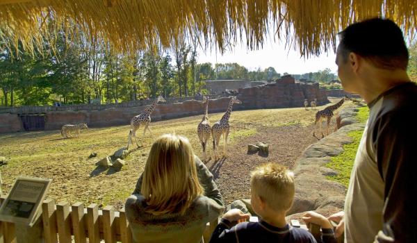 Kinderuitjes Gaia zoo 