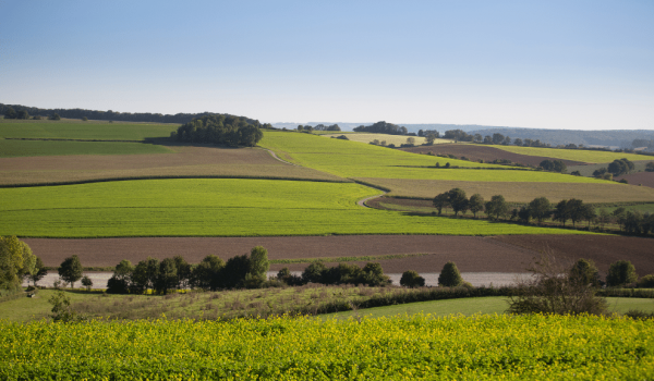 Landscape in the South of Limburg