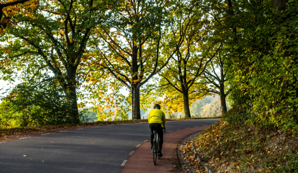 Wielrenner op de Loorberg