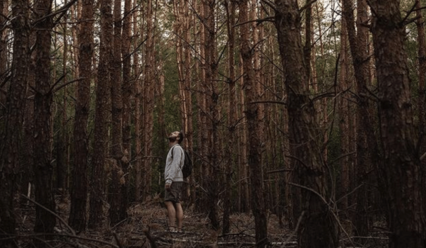 Man in het bos bij de Maasduinen