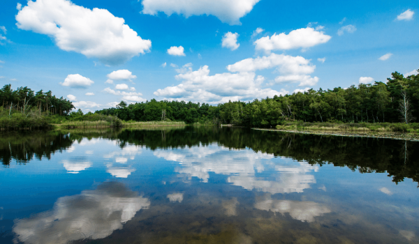 Water at the Meinweg