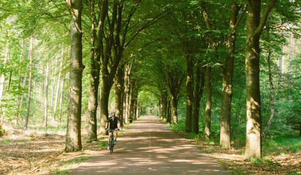 Nature in Meinweg Limburg