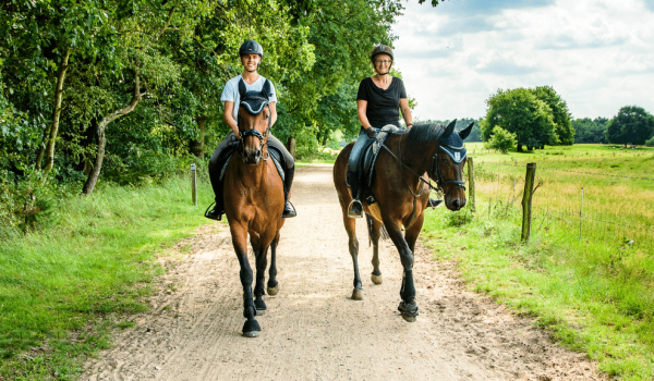 Horseback riding among the greenery