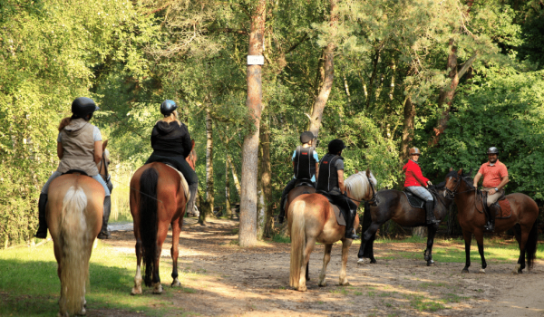 Horse riding