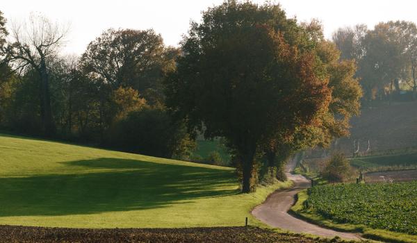 Pelgrimspad Limburg 