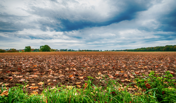 Countryside