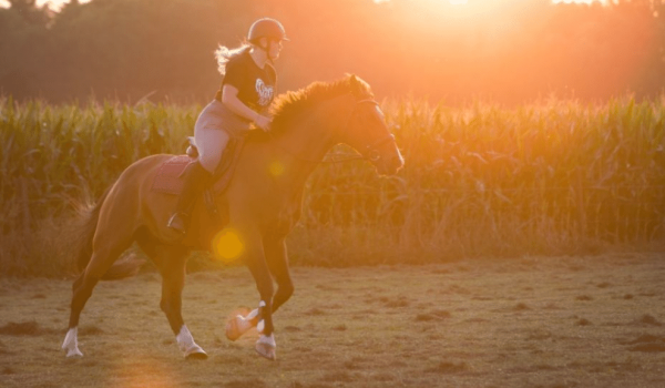 Rider with sunset