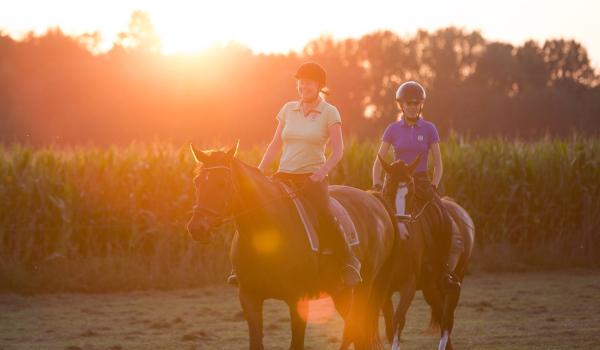 Equestrian routes Limburg