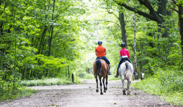 Riders in the woods