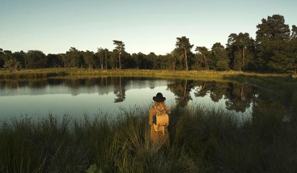 Een vrouw in Nationaal park de Maasduinen 