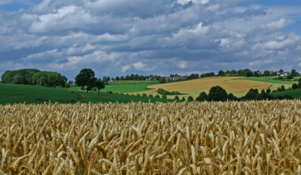 Landschap bij de Belgica route