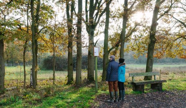 Wandelen in Limburg