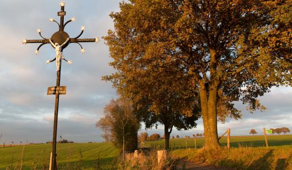 Limburgse cultuur in het landschap