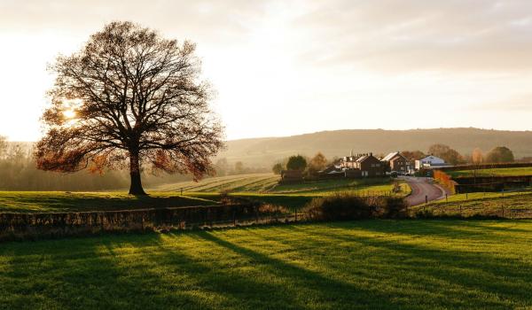 South of Limburg