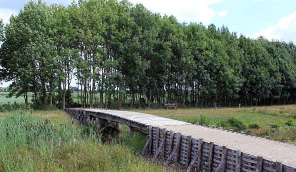 Omgeving Altweerterheide