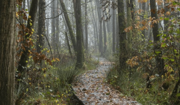 walking route at Schuitwater (Lotte Sprenger)