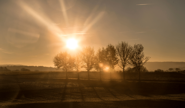 South of Limburg