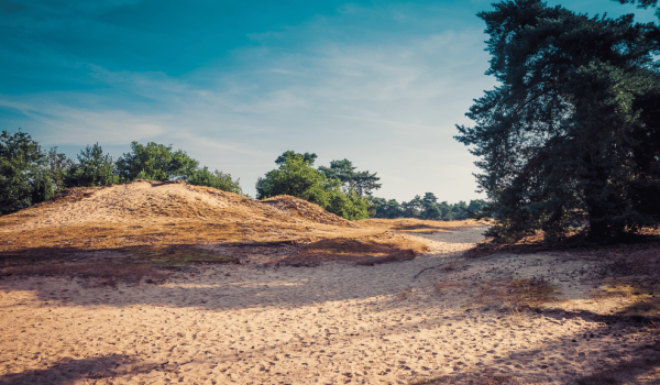 Duin wandeling Maasduinen